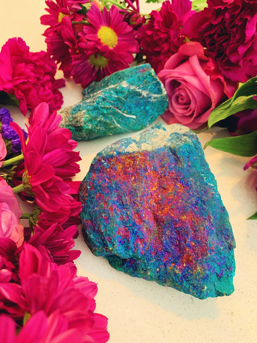 XL Rough Peacock Ore (Chalcopyrite) Rocky's Crystals & Minerals