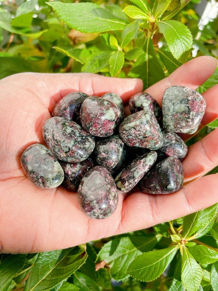 Tumbled Eudialyte Rare