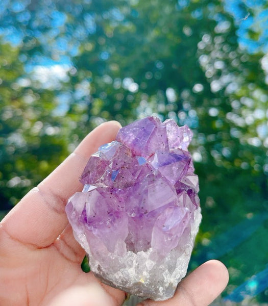 Medium Light Amethyst Cluster – Rocky's Crystals & Minerals