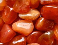 Small Tumbled Premium Brazilian Carnelian