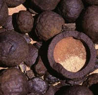 X-Large Moqui Marbles (Shaman Stones aka Martian Stones)